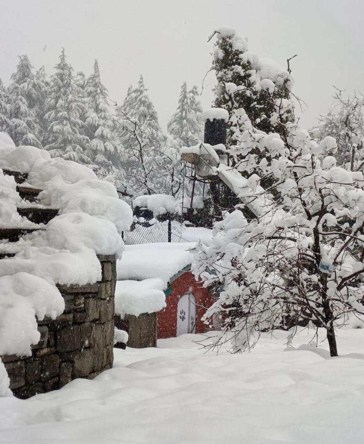 Bed and Breakfast Mudhouse Old Manali Exterior foto